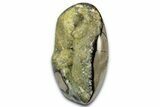 Free-Standing, Polished Septarian Geode - Yellow Crystals #337238-1